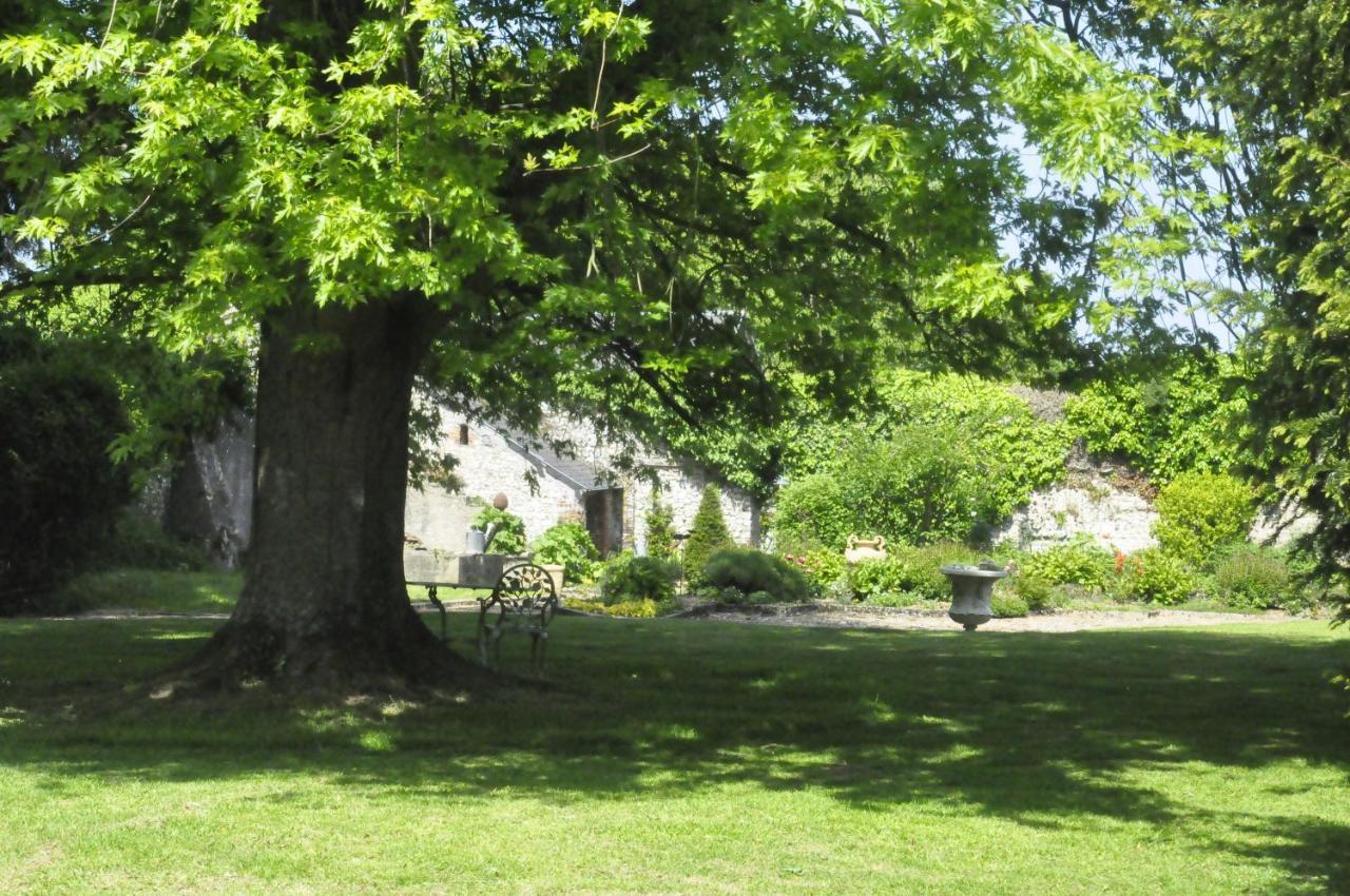 Chateau De St Sauveur D'エマルヴィル エクステリア 写真