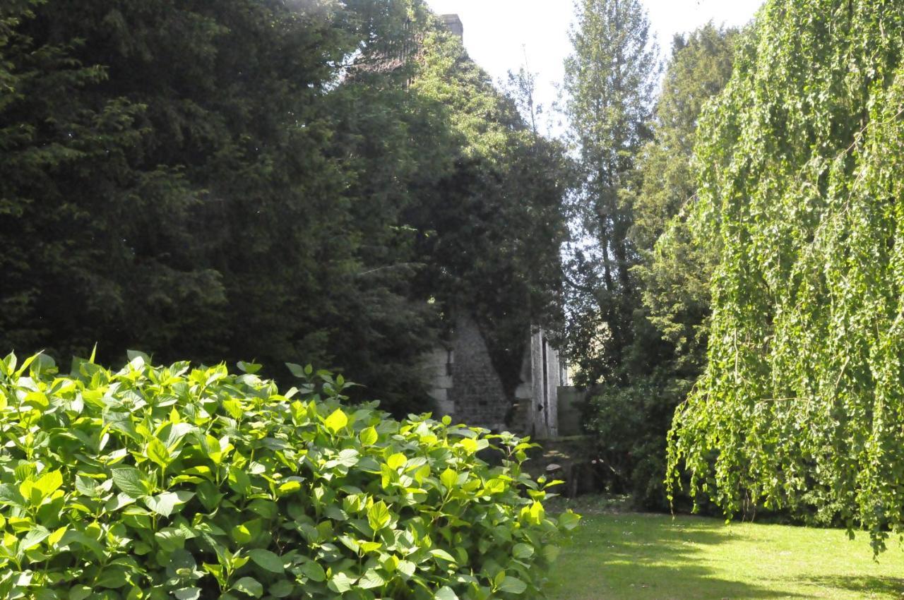 Chateau De St Sauveur D'エマルヴィル エクステリア 写真