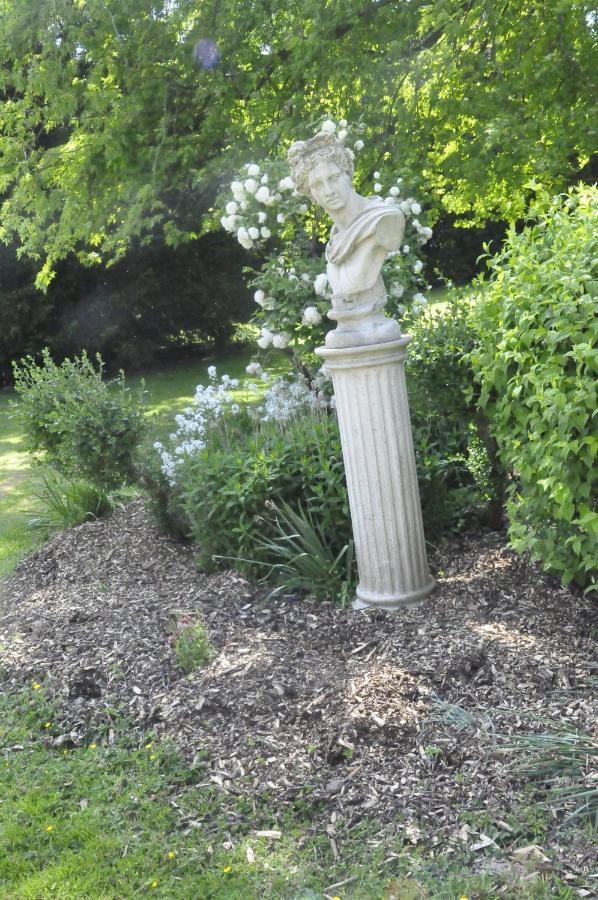 Chateau De St Sauveur D'エマルヴィル エクステリア 写真